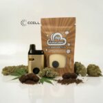 CBDay canna blend Lebanese Hash 1ml
